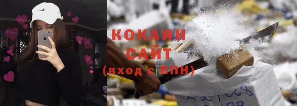 стаф Аркадак