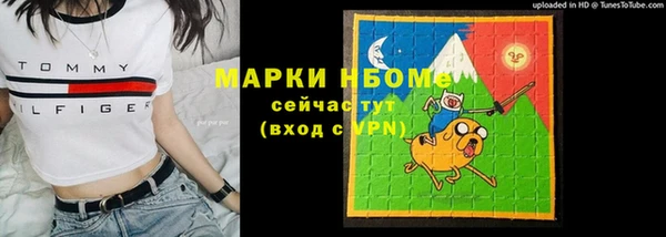 стаф Аркадак