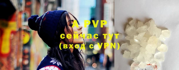 стаф Аркадак