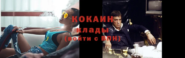 стаф Аркадак