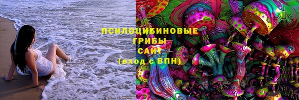 apvp Алзамай