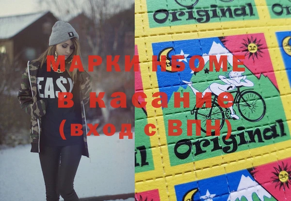 стаф Аркадак