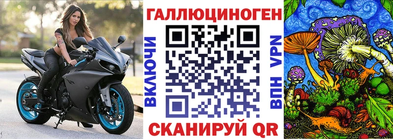 где можно купить   Изобильный  Псилоцибиновые грибы MAGIC MUSHROOMS 